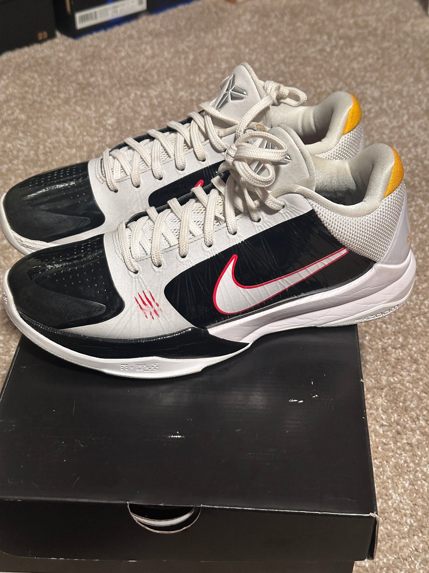 Kobe 5 Protro "Alternate Bruce Lee" VNDS Pre-Owned